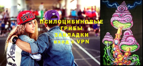 гидра Ветлуга