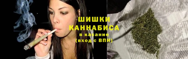 мдпв Богданович