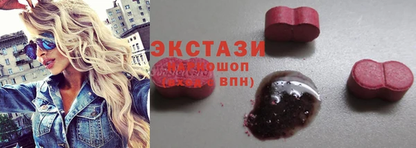 стафф Богородицк