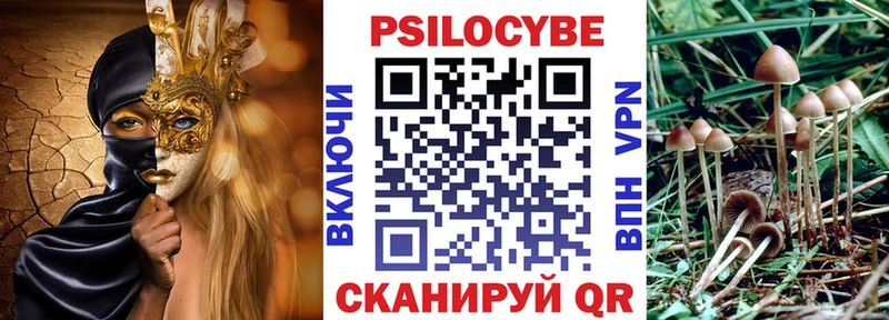 купить наркотики цена  Мариинский Посад  Галлюциногенные грибы мухоморы 