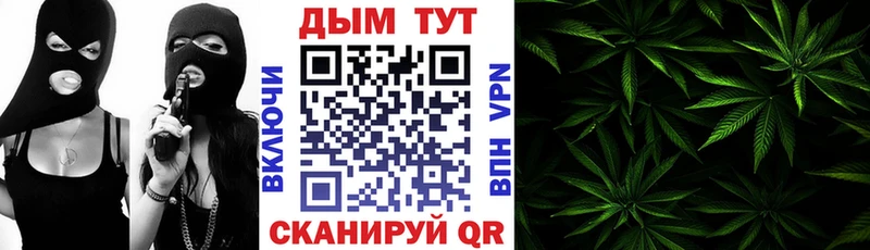 Бошки марихуана THC 21%  купить наркотик  mega ССЫЛКА  Мариинский Посад 